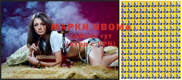 твердый Арсеньев