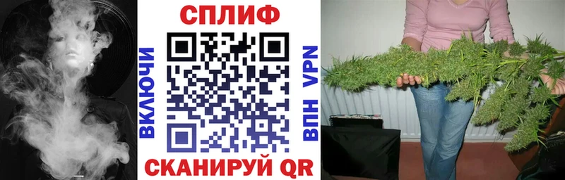 Купить закладки  Сергач  Конопля White Widow 